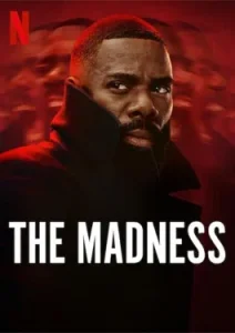 The Madness (2024)